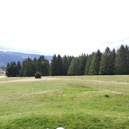 La Ferme Du Levant Gérardmer Kültér fotó