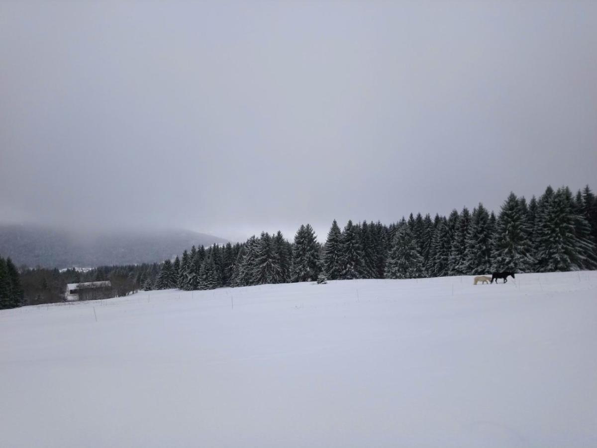 La Ferme Du Levant Gérardmer Kültér fotó