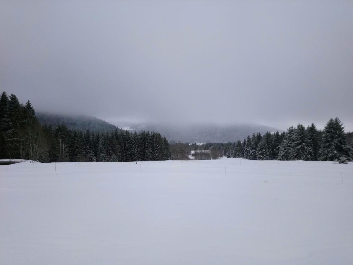 La Ferme Du Levant Gérardmer Kültér fotó