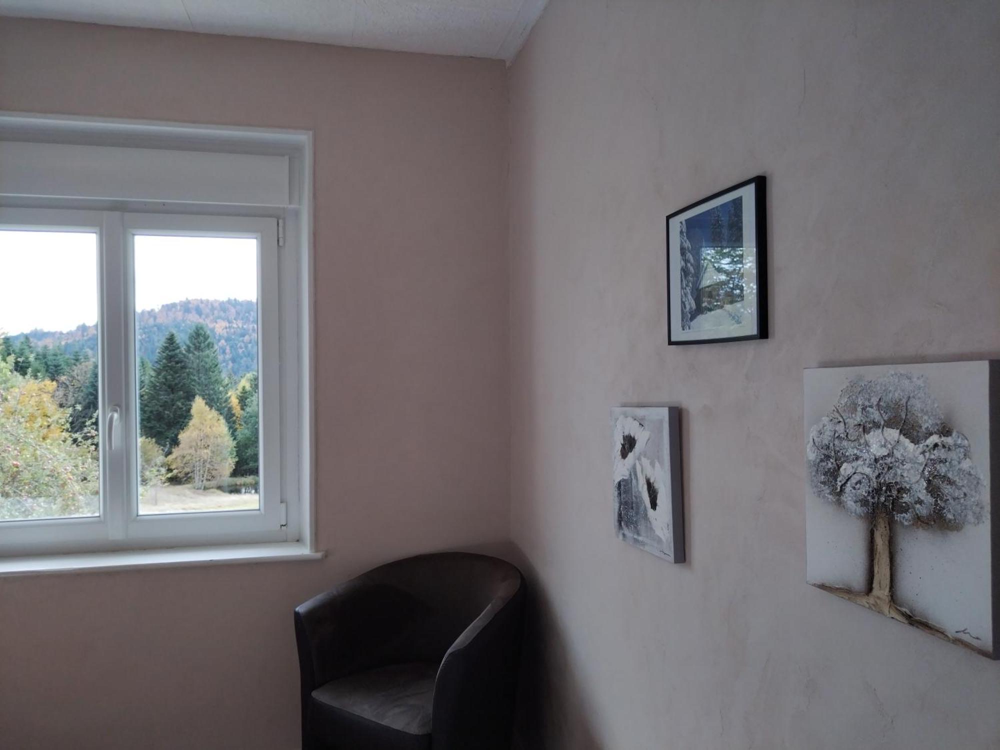 La Ferme Du Levant Gérardmer Kültér fotó